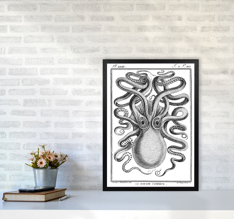 White Vintage Octopus Art Print by Jason Stanley A2 White Frame