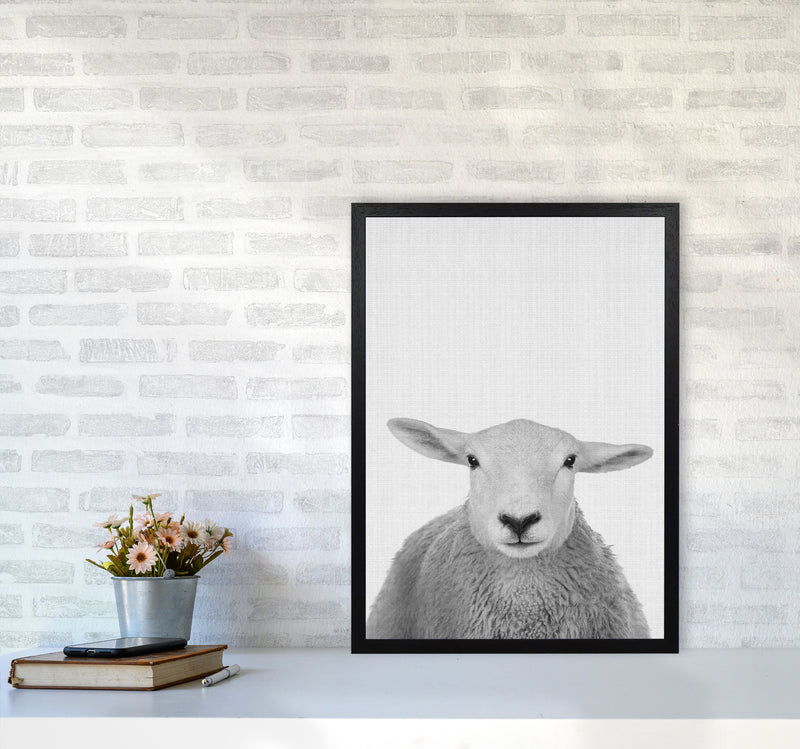 Trust This Wise Sheep Art Print by Jason Stanley A2 White Frame