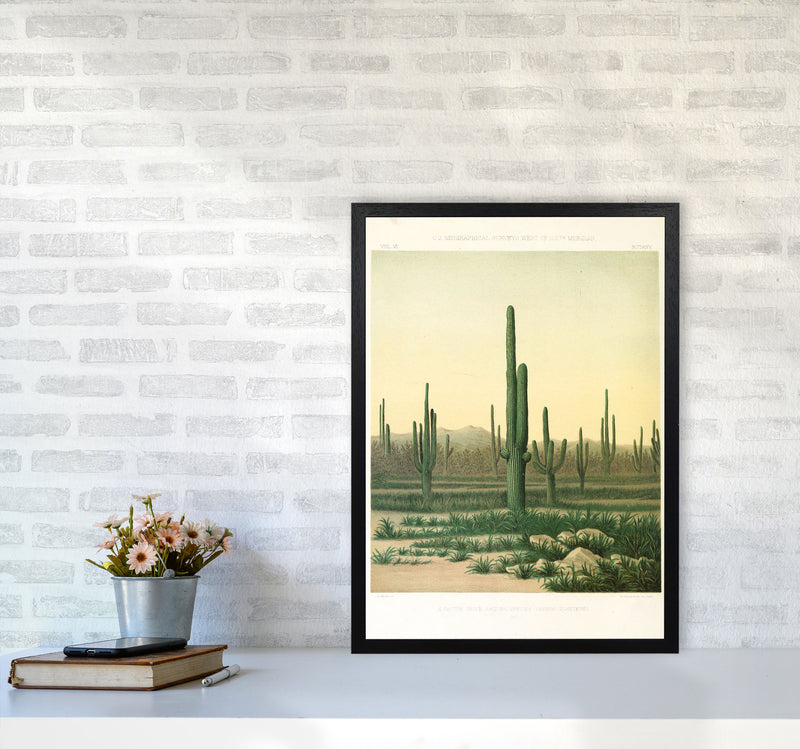 Vintage Desert Cactus Art Print by Jason Stanley A2 White Frame