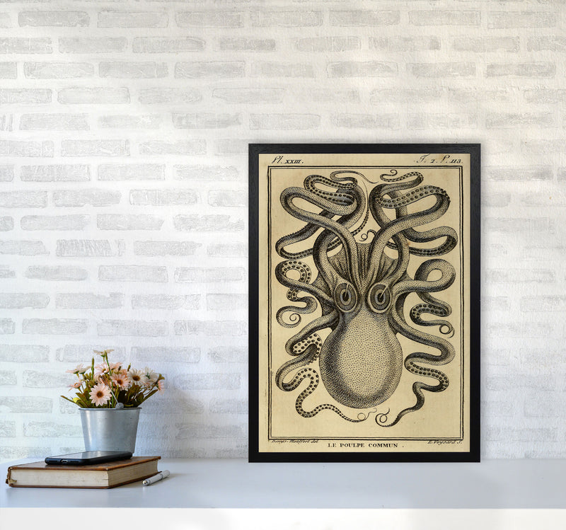 Vintage Octopus 2 Art Print by Jason Stanley A2 White Frame