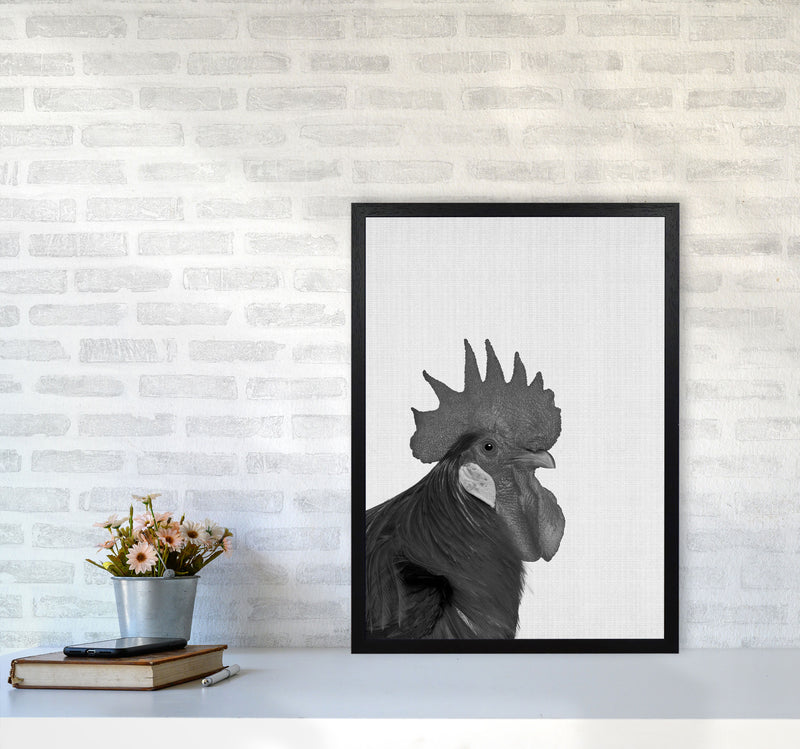 Cock A Doodle Doo Art Print by Jason Stanley A2 White Frame