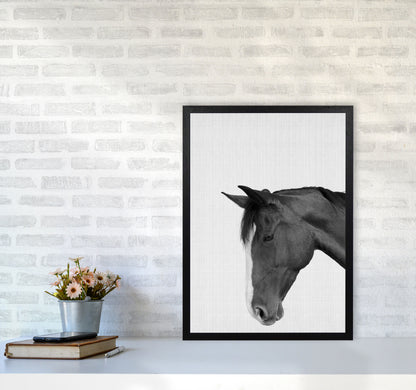 Man's Best Friend Art Print by Jason Stanley A2 White Frame