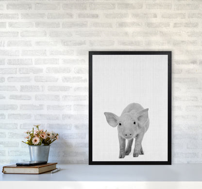 The Cutest Pig Art Print by Jason Stanley A2 White Frame