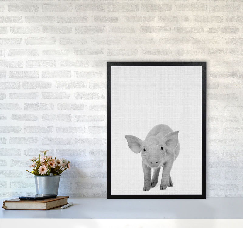 The Cutest Pig Art Print by Jason Stanley A2 White Frame
