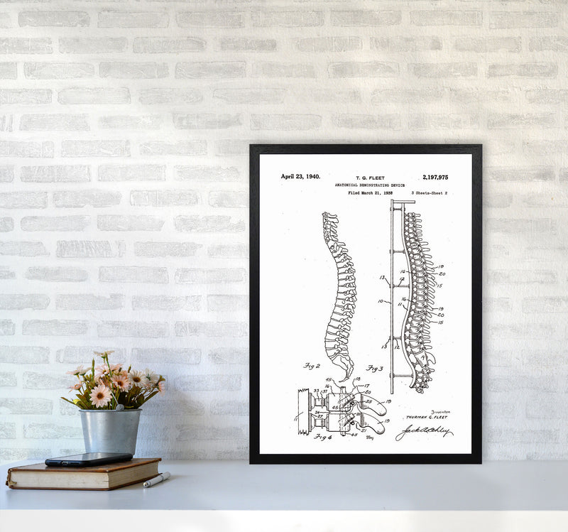 Anatomical Spine Display Patent Art Print by Jason Stanley A2 White Frame