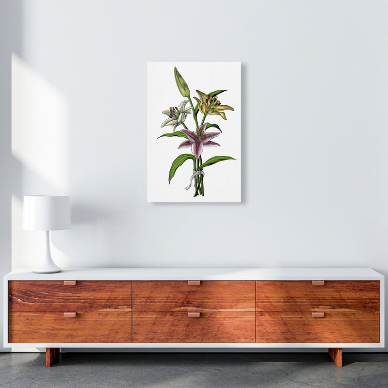 Vintage Lilly Illustration Art Print by Jason Stanley A2 Canvas