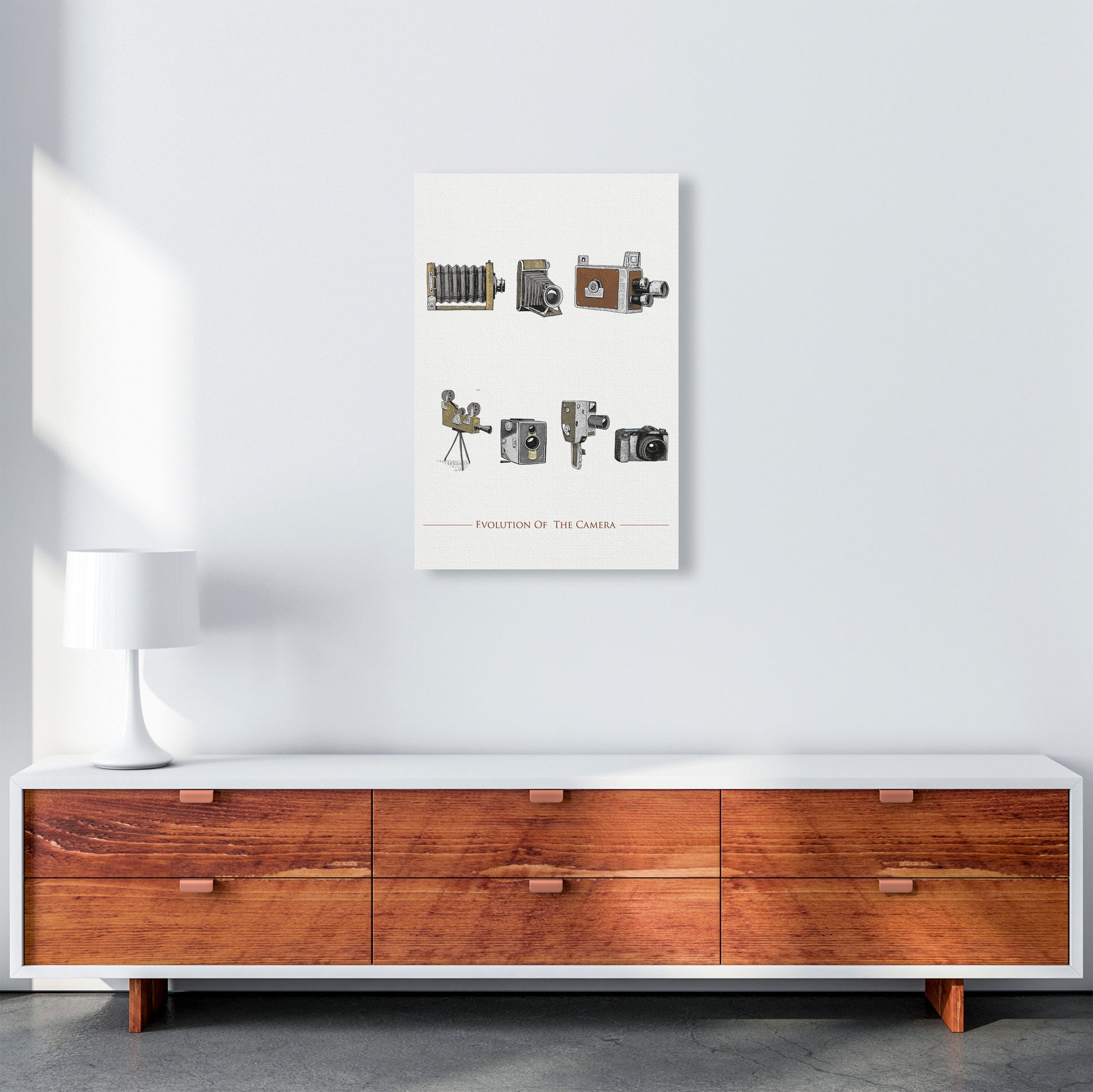 Evolution Of The Camera Art Print by Jason Stanley A2 Canvas
