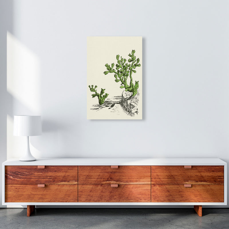 Prickly Pear Cactus Art Print by Jason Stanley A2 Canvas