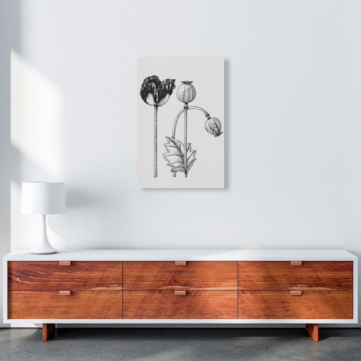 Vintage Poppy Plant Art Print by Jason Stanley A2 Canvas