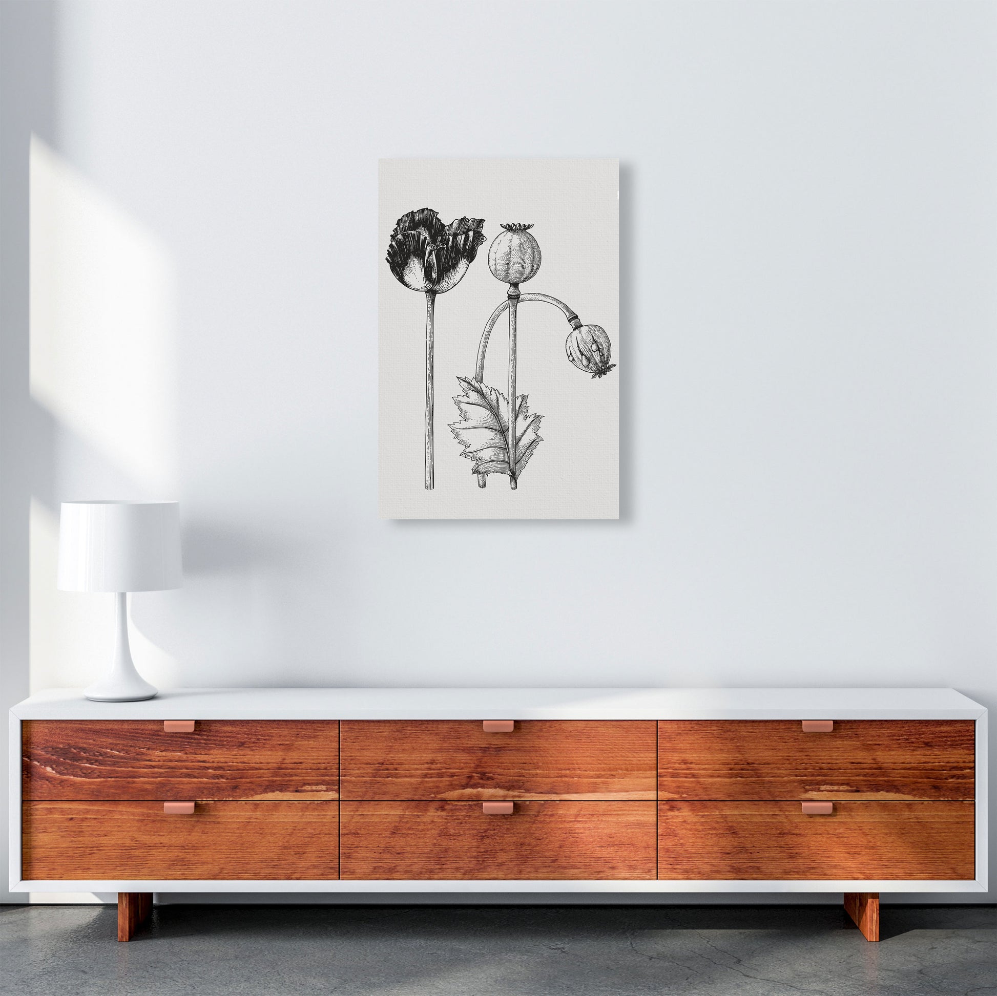 Vintage Poppy Plant Art Print by Jason Stanley A2 Canvas