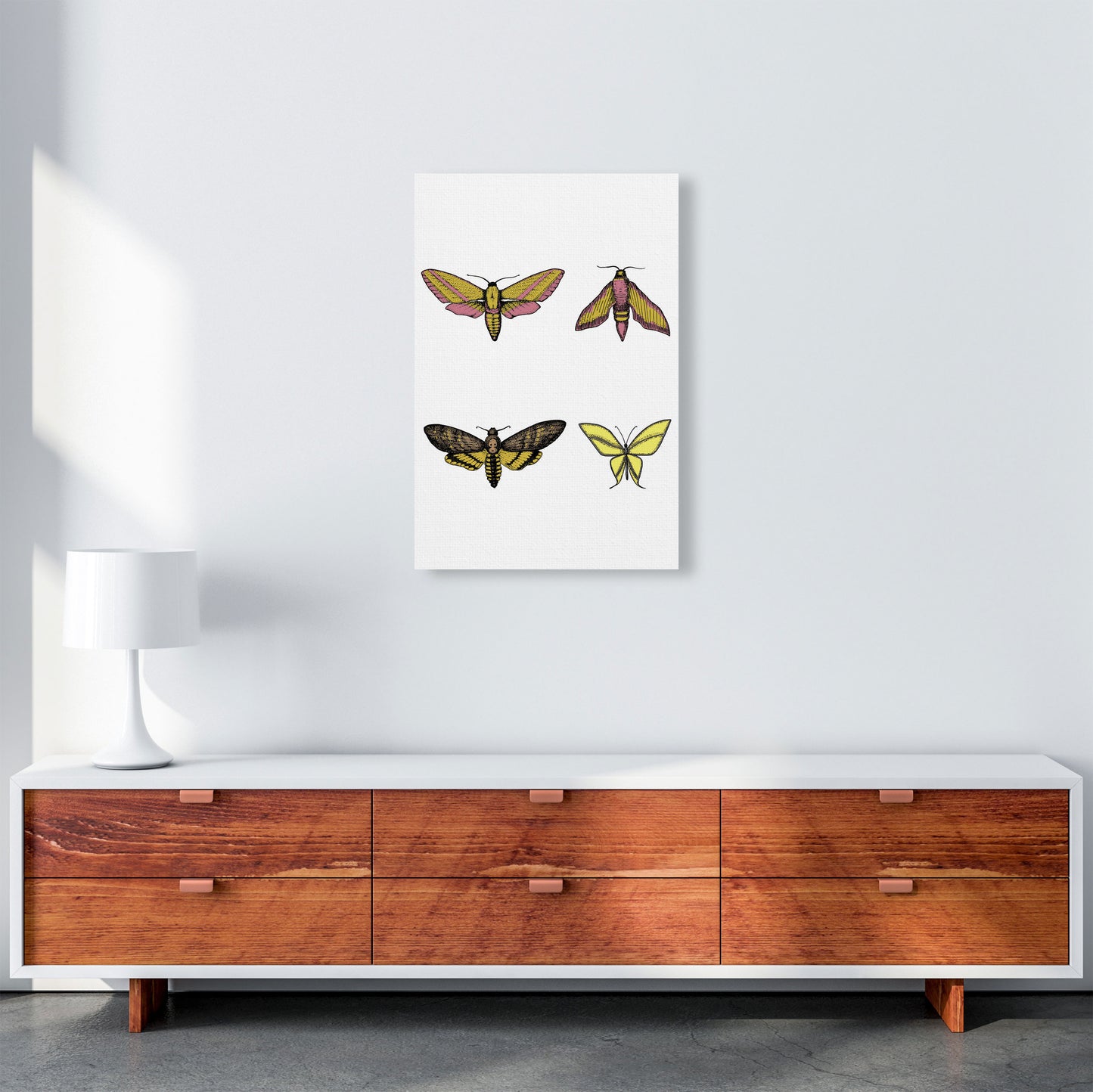 Vintage Moths Art Print by Jason Stanley A2 Canvas