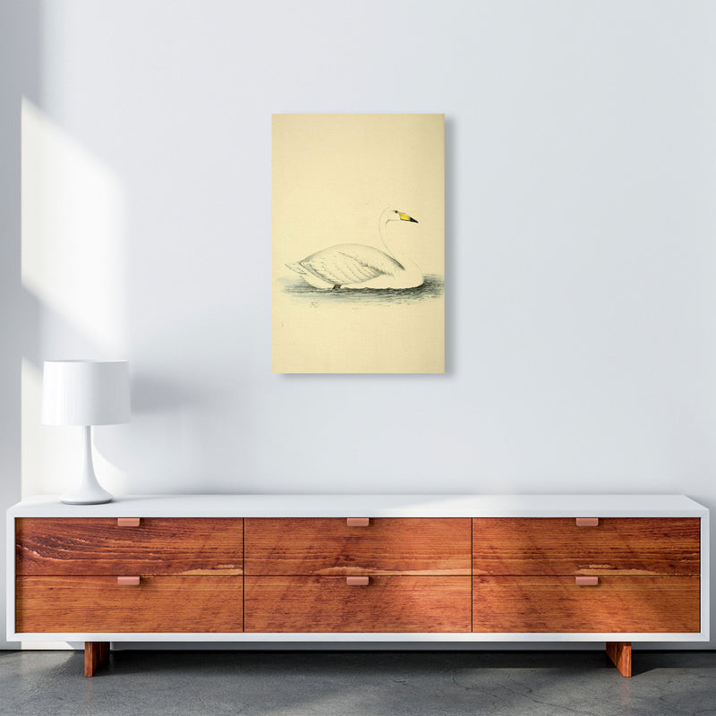 Vintage Swan Art Print by Jason Stanley A2 Canvas