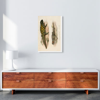 Vintage Lizard Illustration Art Print by Jason Stanley A2 Canvas