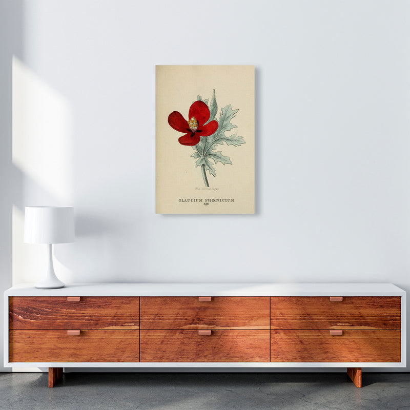Vintage Flower Series 2 Art Print by Jason Stanley A2 Canvas