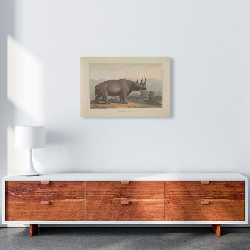 Vintage Rhino Illustration Art Print by Jason Stanley A2 Canvas