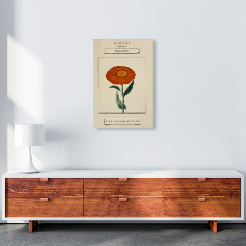 Vintage Flower Series 9 Art Print by Jason Stanley A2 Canvas
