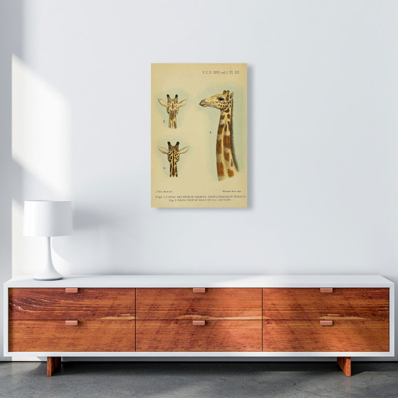 Longest Neck In The Jungle Art Print by Jason Stanley A2 Canvas