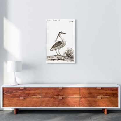 Vintage Hunting Bird Art Print by Jason Stanley A2 Canvas