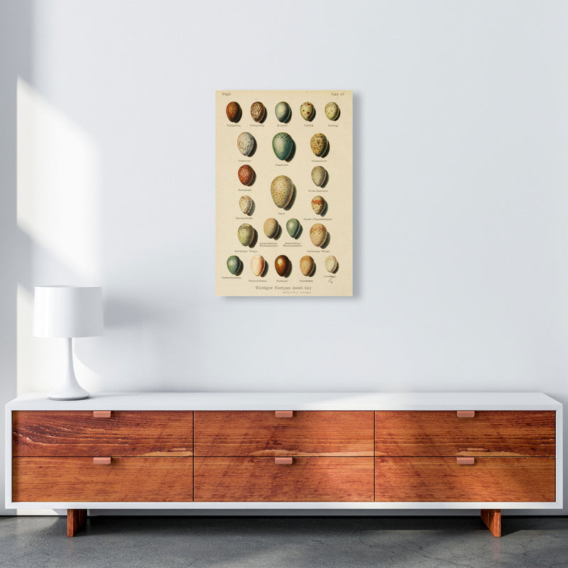 Vintage Set Of Eggs Art Print by Jason Stanley A2 Canvas