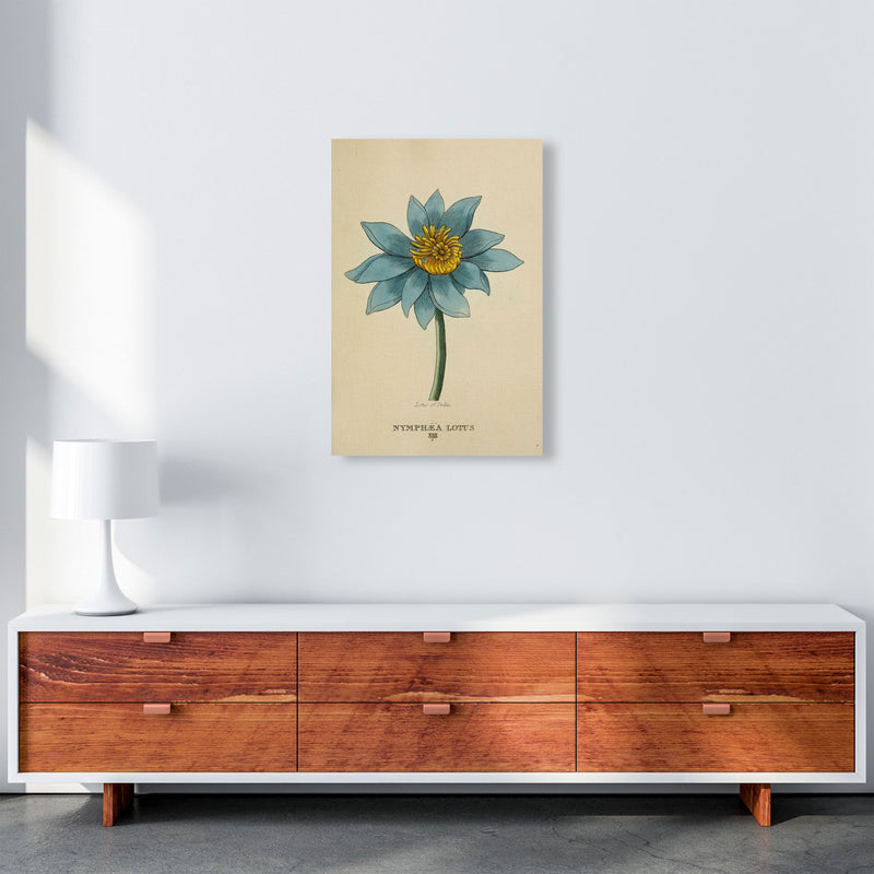 Vintage Lotus Flower Art Print by Jason Stanley A2 Canvas