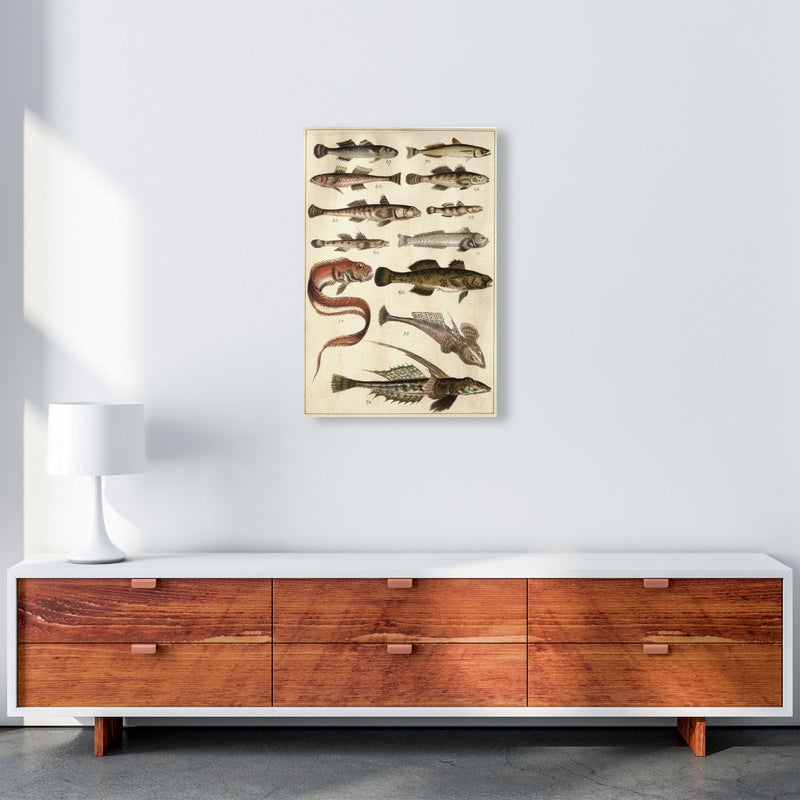 Creatures Of The Sea Art Print by Jason Stanley A2 Canvas