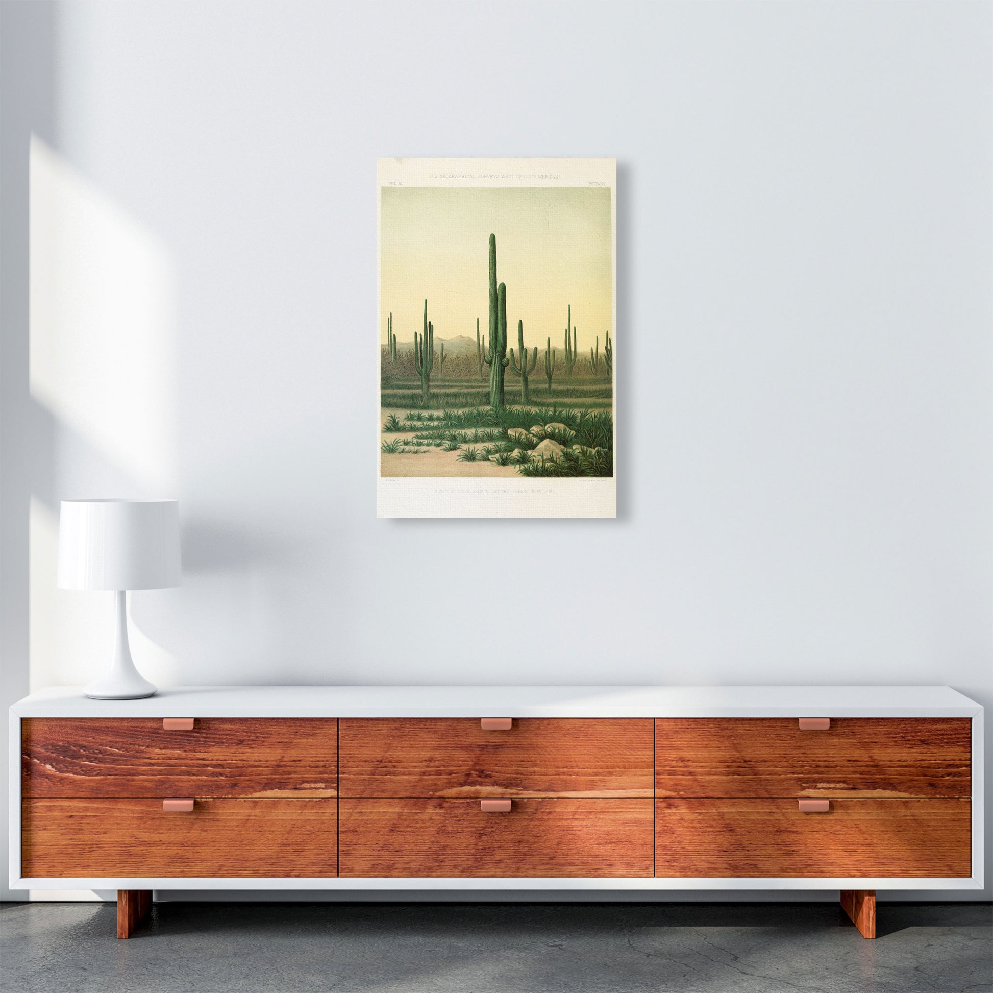 Vintage Desert Cactus Art Print by Jason Stanley A2 Canvas