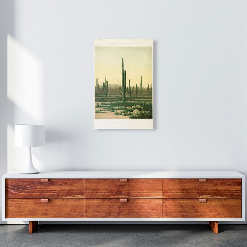 Vintage Desert Cactus Art Print by Jason Stanley A2 Canvas