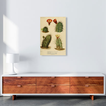 Cactus Series 1 Art Print by Jason Stanley A2 Canvas