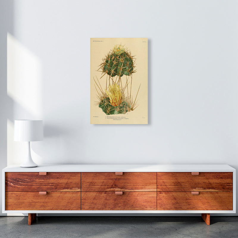 Cactus Series 10 Art Print by Jason Stanley A2 Canvas