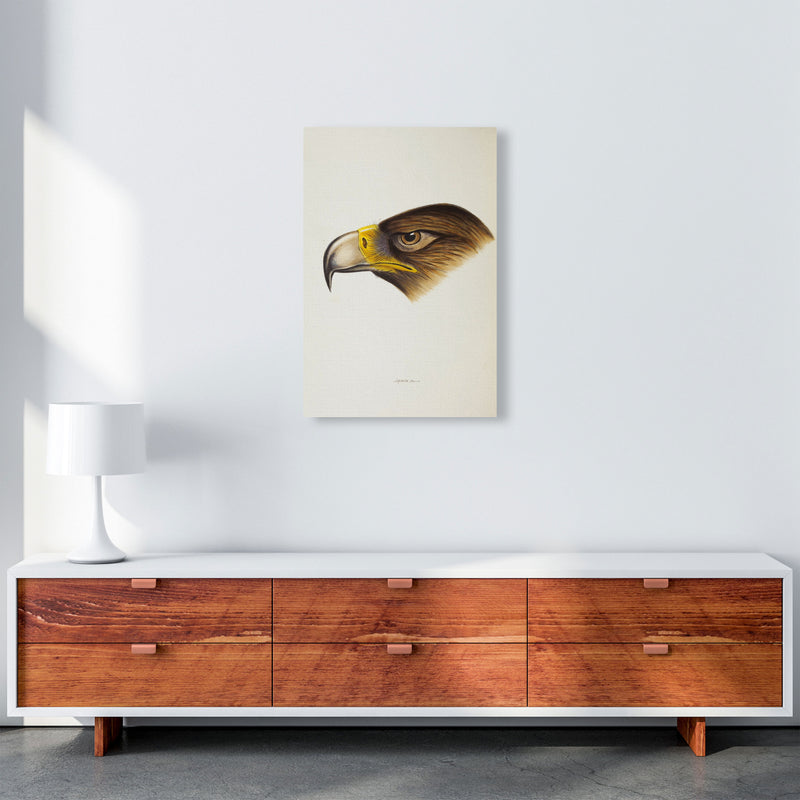 Vintage Eagle Face Art Print by Jason Stanley A2 Canvas