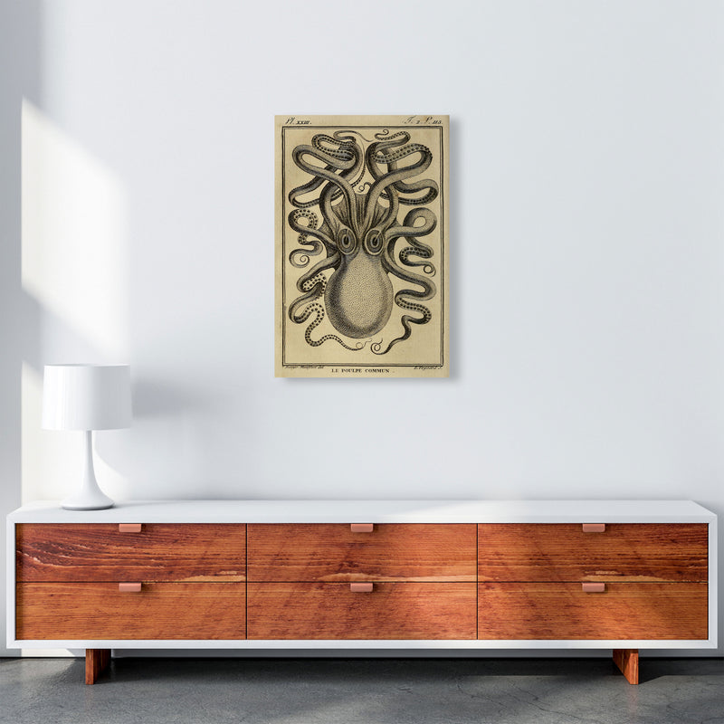 Vintage Octopus 2 Art Print by Jason Stanley A2 Canvas