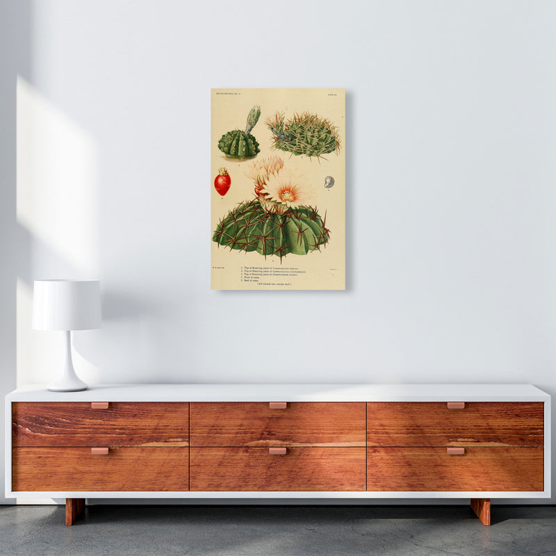Cactus Series 14 Art Print by Jason Stanley A2 Canvas