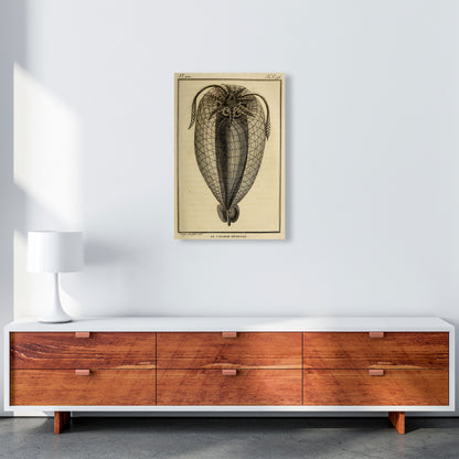Vintage Squid 4 Art Print by Jason Stanley A2 Canvas