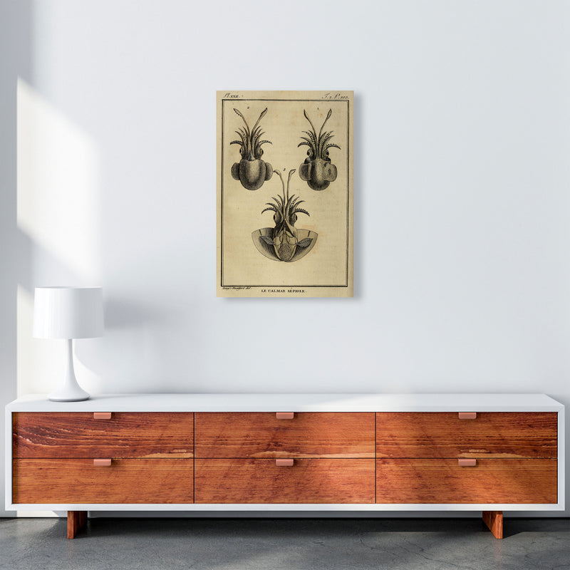 Vintage Squid 3 Art Print by Jason Stanley A2 Canvas