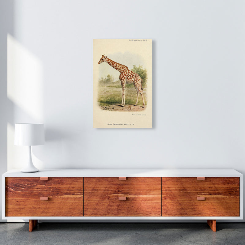 The Gentle Giraffe Art Print by Jason Stanley A2 Canvas