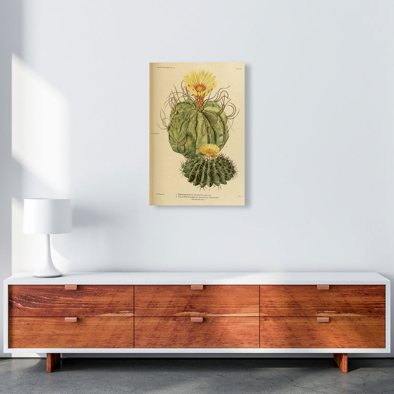 Cactus Series 15 Art Print by Jason Stanley A2 Canvas