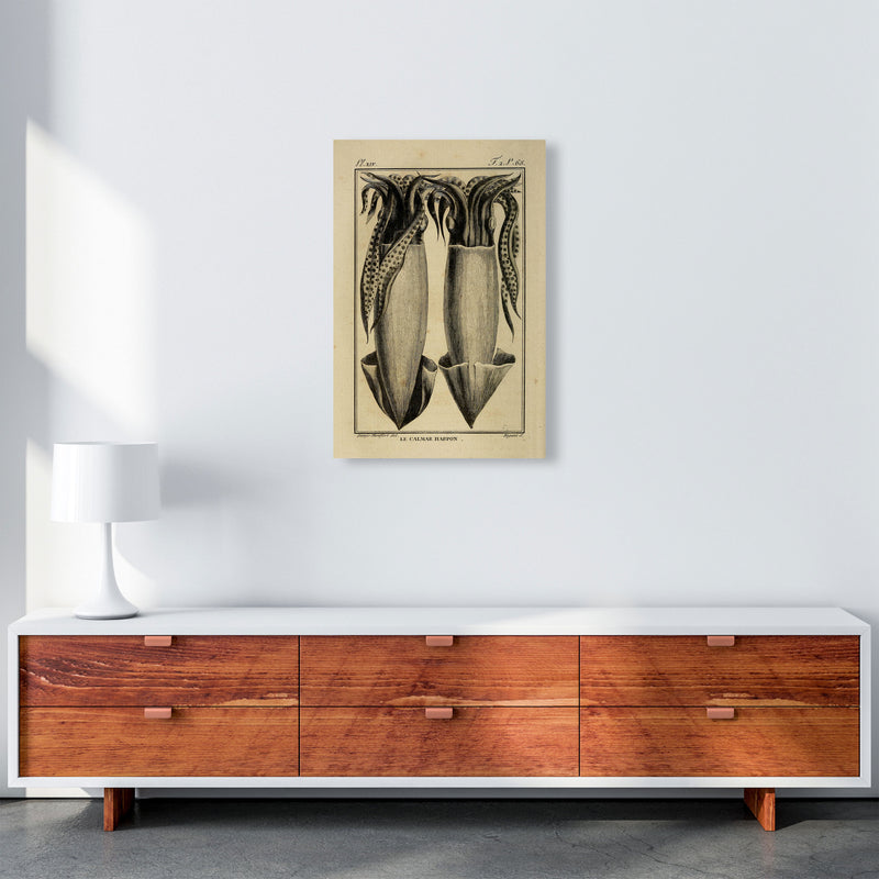 Vintage Squid 5 Art Print by Jason Stanley A2 Canvas
