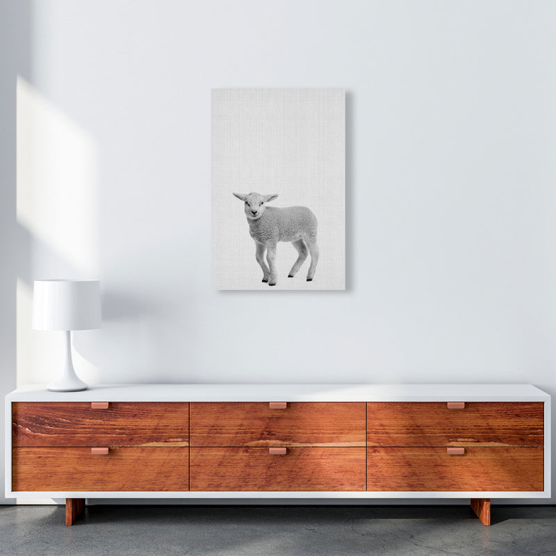 Lamb Art Print by Jason Stanley A2 Canvas