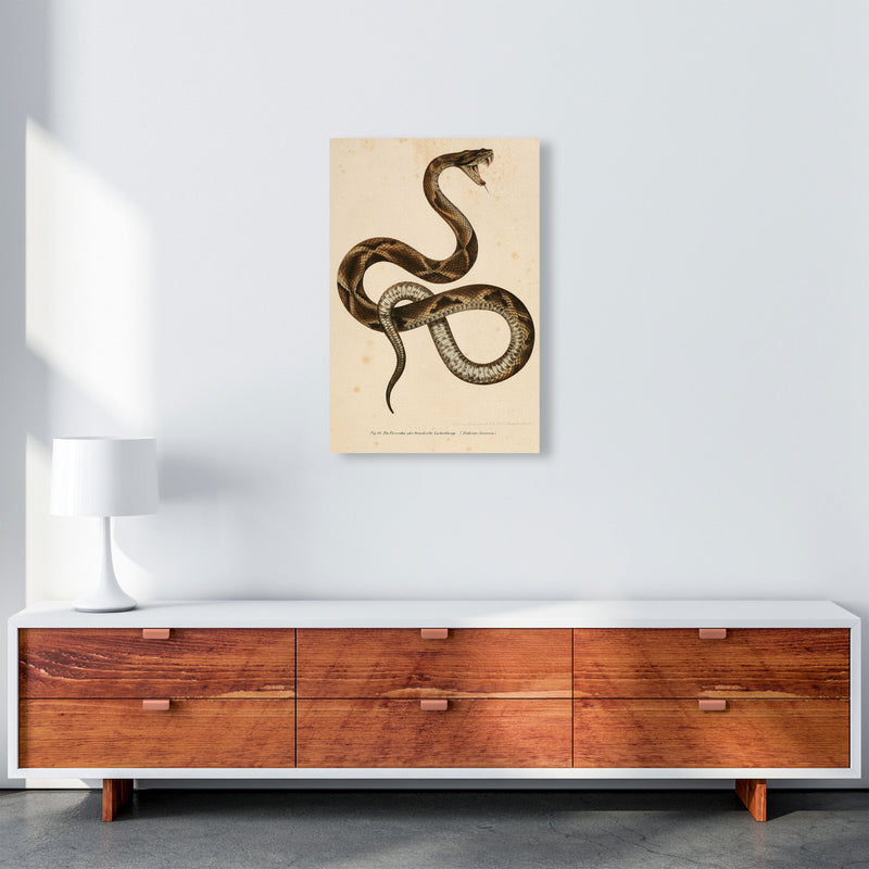Vintage Snake Art Print by Jason Stanley