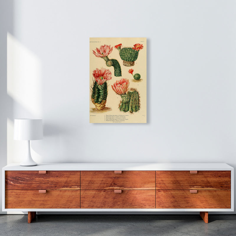 Cactus Series 3 Art Print by Jason Stanley A2 Canvas