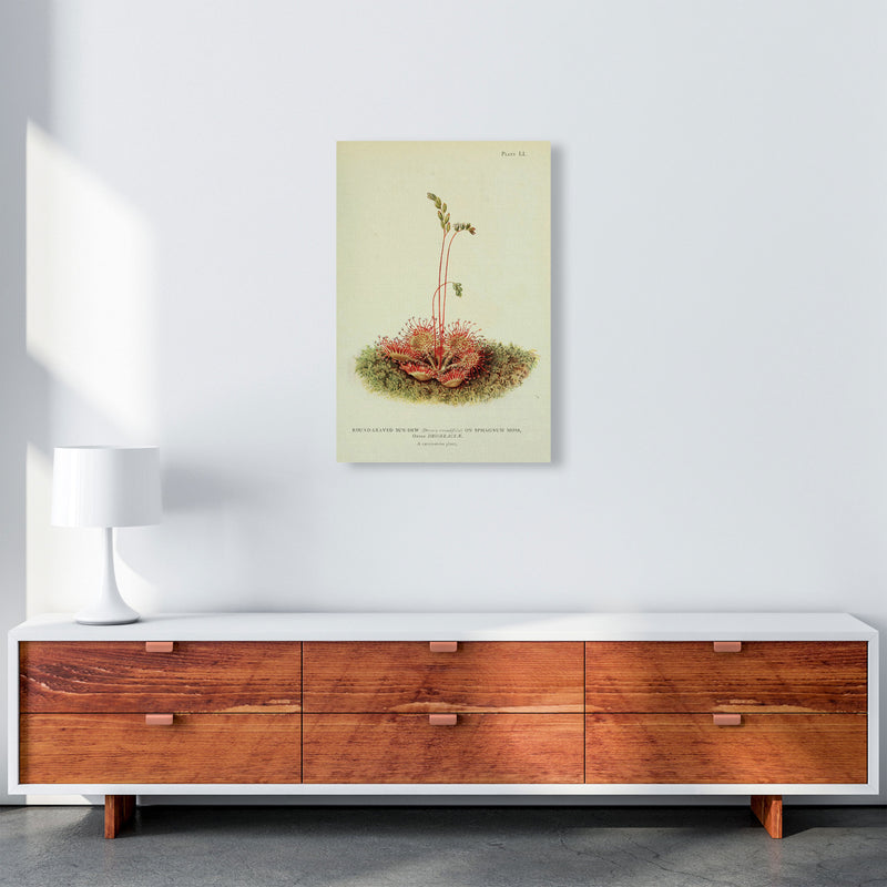 Venus Fly Trap Art Print by Jason Stanley A2 Canvas