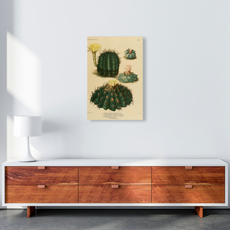 Cactus Series8 Art Print by Jason Stanley A2 Canvas