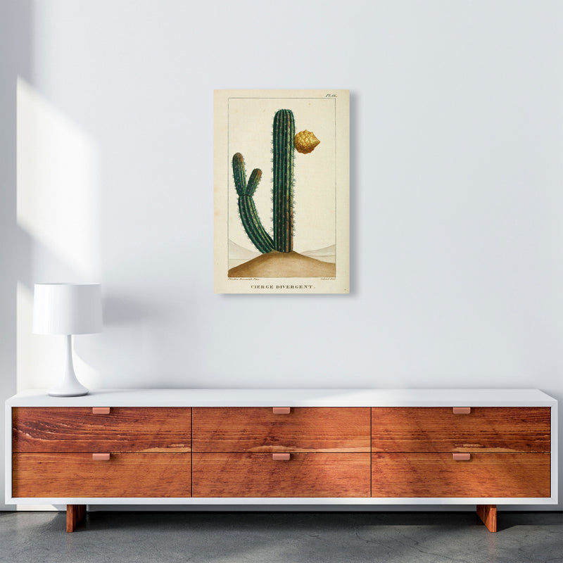 Vintage Cactus Art Print by Jason Stanley A2 Canvas