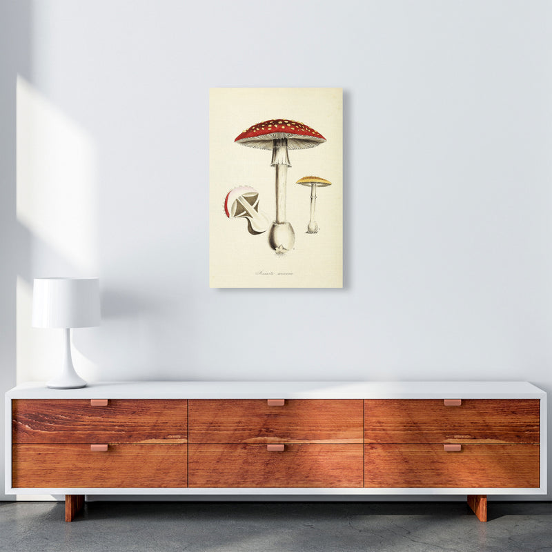 Magic Mushrooms Art Print by Jason Stanley A2 Canvas