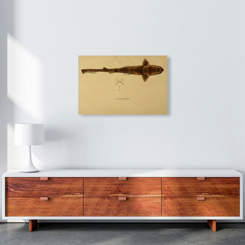 Shark Series 2 Art Print by Jason Stanley A2 Canvas