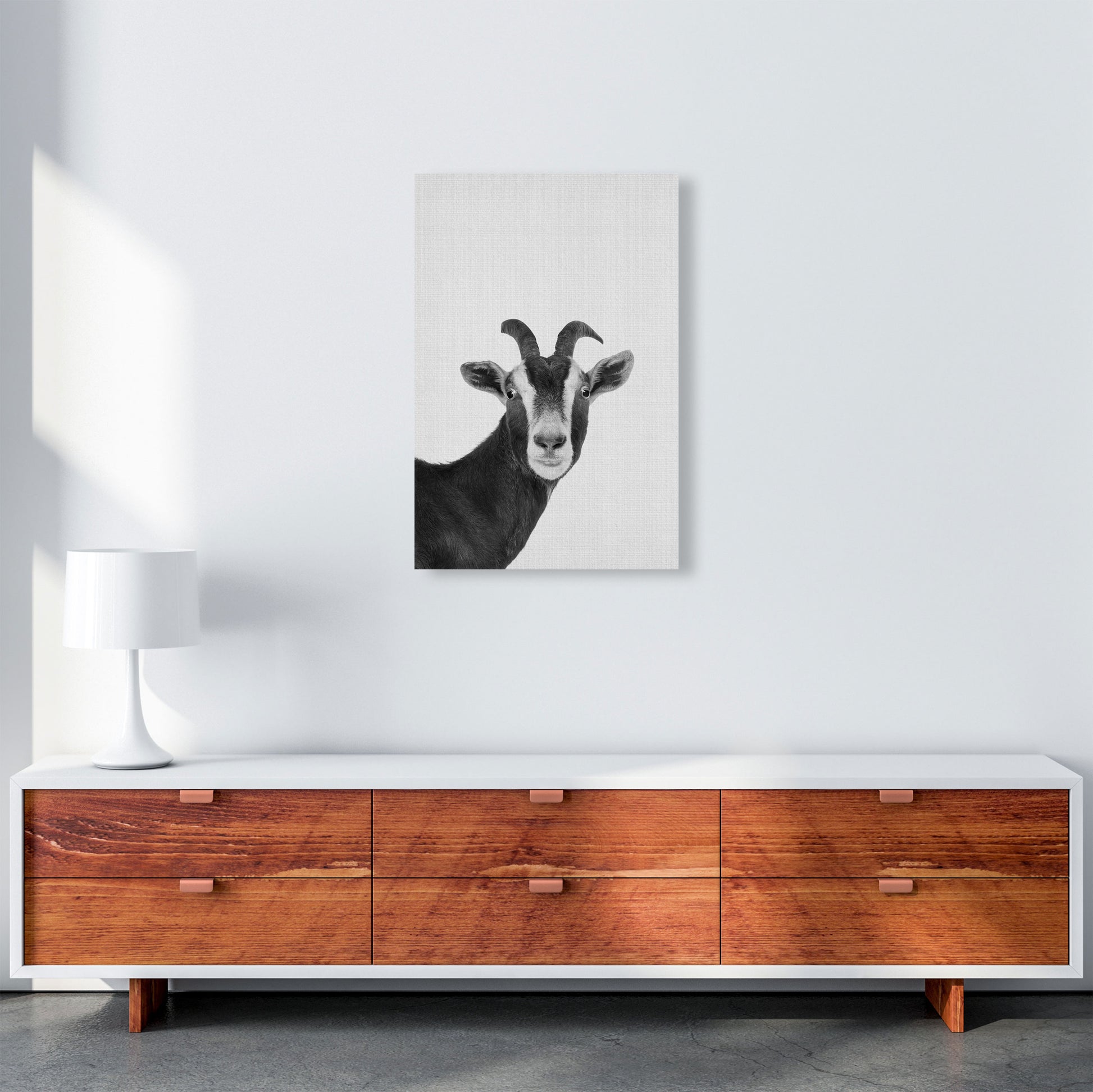 Surprised Goat Art Print by Jason Stanley A2 Canvas