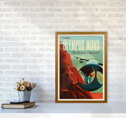 Spacex - Valles Marineris Art Print by Jason Stanley A2 Print Only