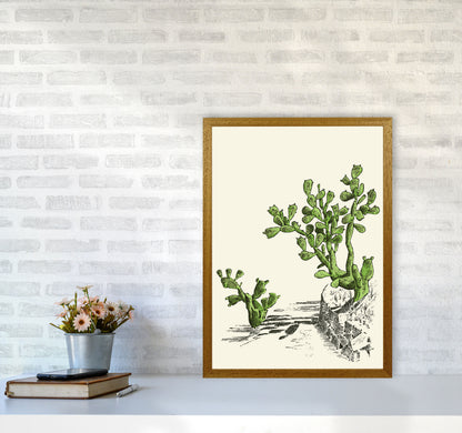 Prickly Pear Cactus Art Print by Jason Stanley A2 Print Only