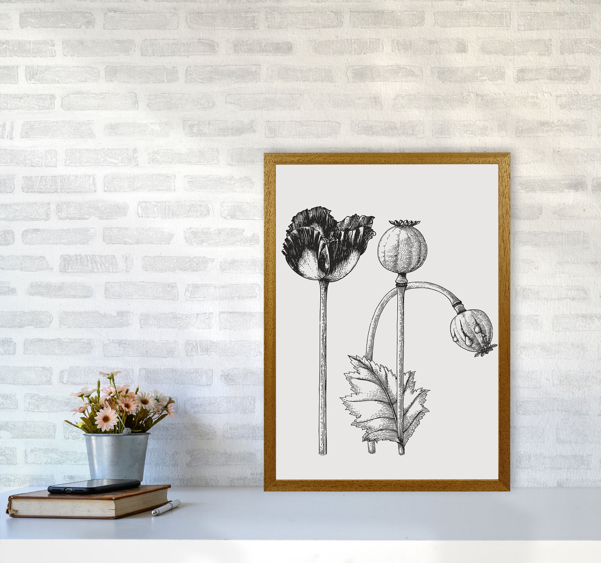 Vintage Poppy Plant Art Print by Jason Stanley A2 Print Only