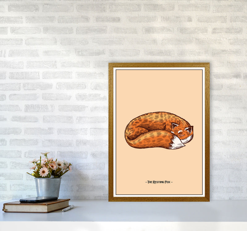 The Resting Fox Art Print by Jason Stanley A2 Print Only